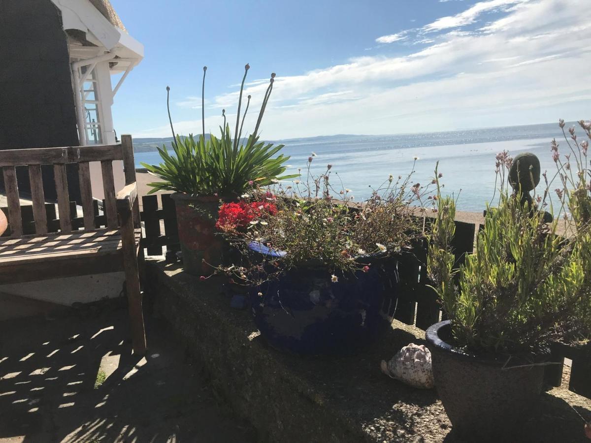 Dolphin Cottage Lyme Regis Exterior photo